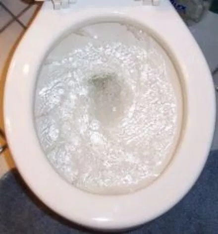 flushing-toilet.webp