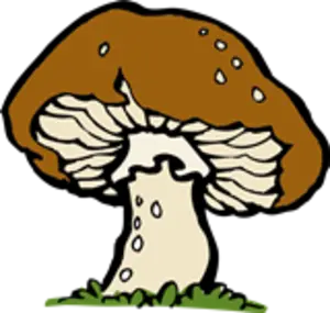 mushroom.webp